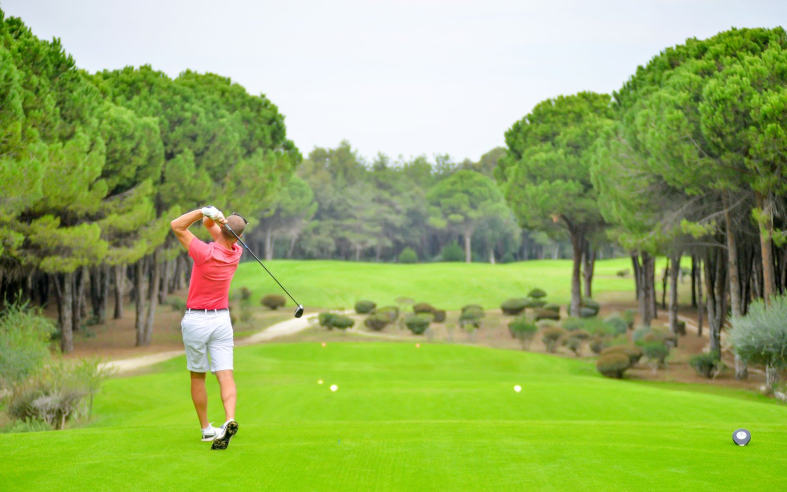 Golfçü Dirseği (Medial Epikondilit): İç Dirsekteki Ağrı